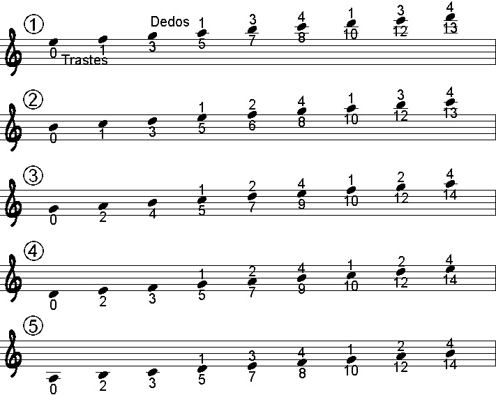 Notas cuerda por cuerda